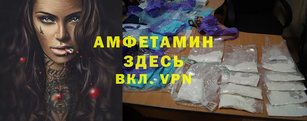 сатива Козельск