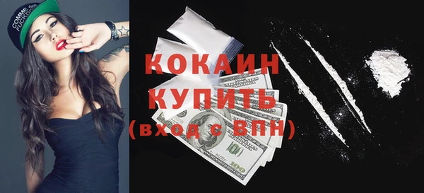 сатива Козельск