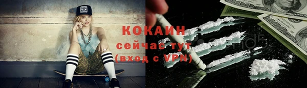 сатива Козельск