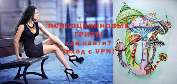 сатива Козельск